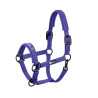 Cabezada Cuadra Eskadron Dynamic