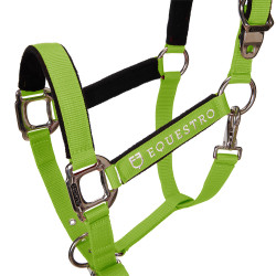 Cabezada Cuadra Equestro C/Ramal CA00032