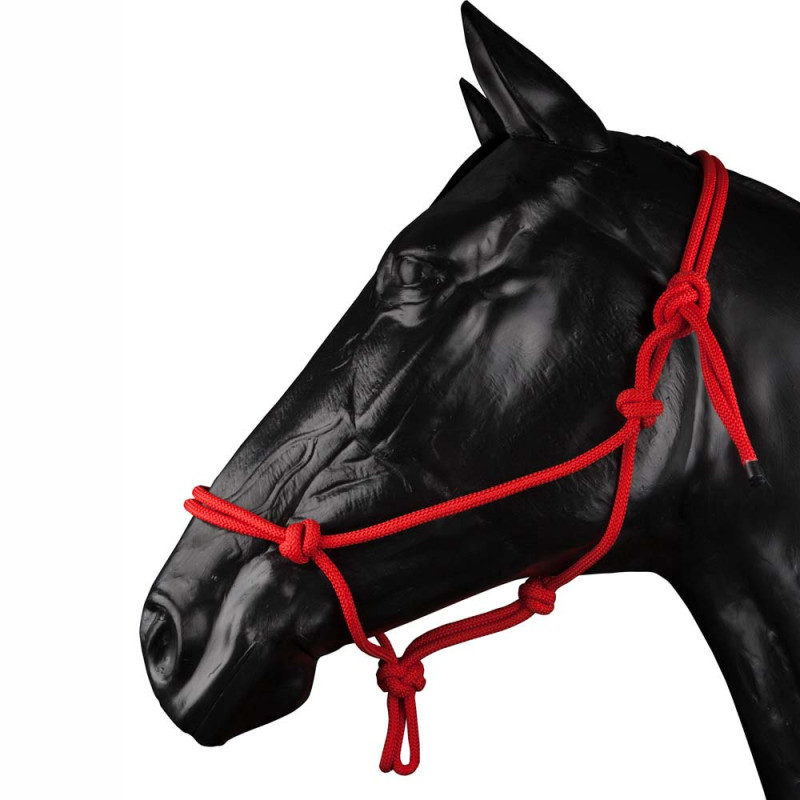 Cabezada Cuadra Cuerda