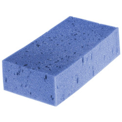 Esponja Absorvente