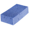 Esponja Absorvente