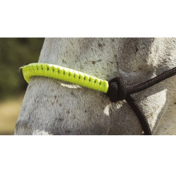 Cabezada Cuerda Con Ramal Fun Colour