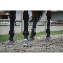 Protectores Tendon Riding World
