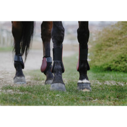 Protectores Tendon Riding World