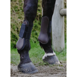 Protectores Tendon Riding World