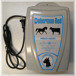 Pastor Doberman Red