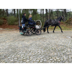 PONY C