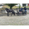 PONY C