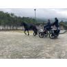 PONY C