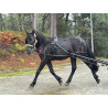 PONY C