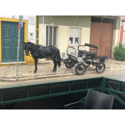 Pony Welhs