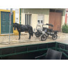Pony Welhs