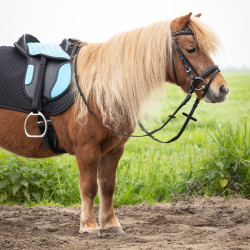 Silla Montar Shetland