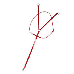 Tijerillas Completas Biotane