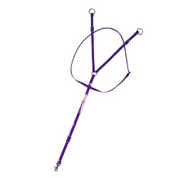 Tijerillas Completas Biotane