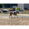 Hispano Breton Palomino