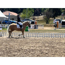 Hispano Breton Palomino