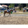 Hispano Breton Palomino