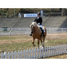 Hispano Breton Palomino