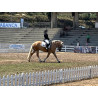Hispano Breton Palomino