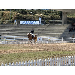 Hispano Breton Palomino