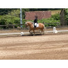 Hispano Breton Palomino