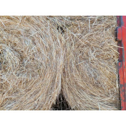 hierba seca, alfalfa cebada paja trigo alpacón rulo alpaca Galicia