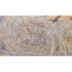 hierba seca, alfalfa cebada paja trigo alpacón rulo alpaca Galicia