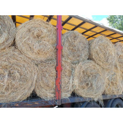 hierba seca, alfalfa cebada paja trigo alpacón rulo alpaca Galicia