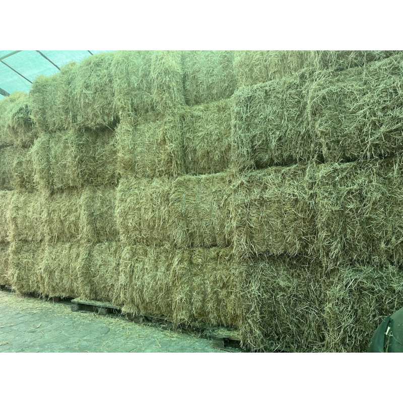 ALPACONES PAJA
