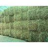 ALPACONES PAJA