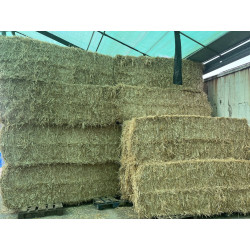 ALPACONES PAJA