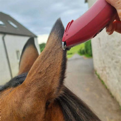 ESQUILADORA LIVERYMAN NOVA