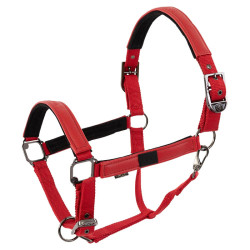 Cabezada cuadra Br Jade