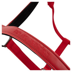 Cabezada cuadra Br Jade