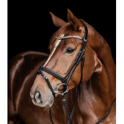 Cabezada Inglesa Harmony