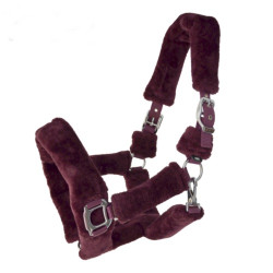 Cabezada Cuadra Borreguillo Teddy