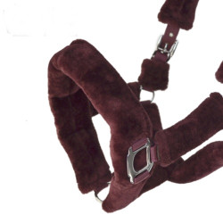 Cabezada Cuadra Borreguillo Teddy