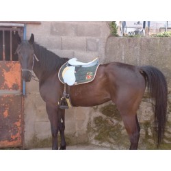 SILLA ZALDI ENDURANCE de Raid