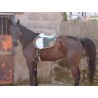 SILLA ZALDI ENDURANCE de Raid