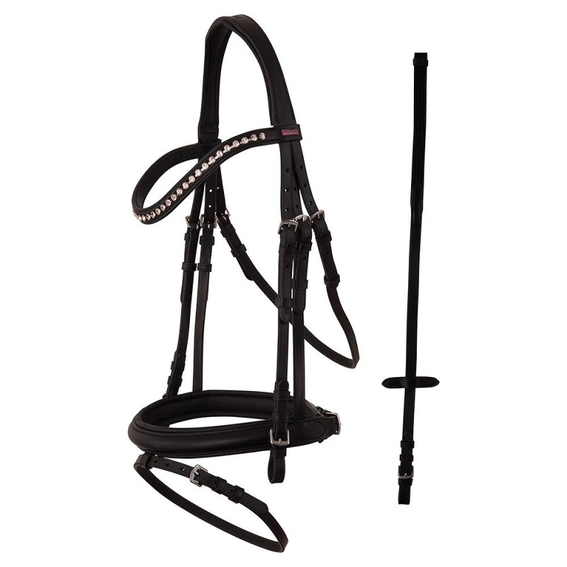 Cabezada Premiere Rennes