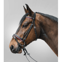 Cabezada Inglesa Diamond