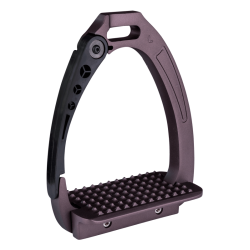 Estribos Seguridad Pro