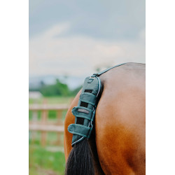 Protector Cola Tyrex 600D
