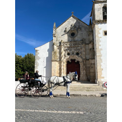 Caballo Español Linea Cartujana