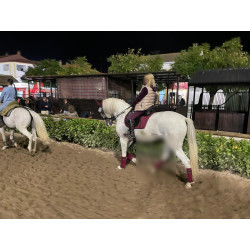 Caballo Español Linea Cartujana