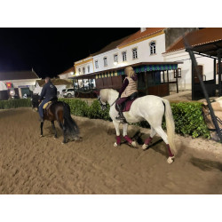 Caballo Español Linea Cartujana