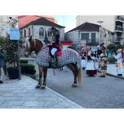 Yegua Hispano Bretona