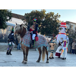 Yegua Hispano Bretona