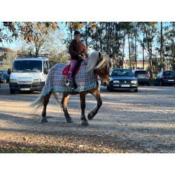 Yegua Hispano Bretona